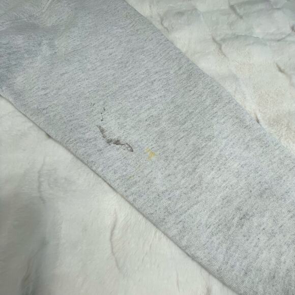 🔥Vintage St Louis Rams 1999 NFC Champions 2000 Super Bowl Sweatshirt Sz Large - Picture 12 of 14